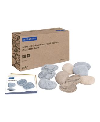 Magnetic Matching Aquatic Life Fossil Stones - Set of 8