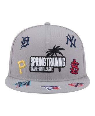 Men's Gray 2026 Spring Training Grapefruit League Scattered 9FIFTY Adjustable Hat