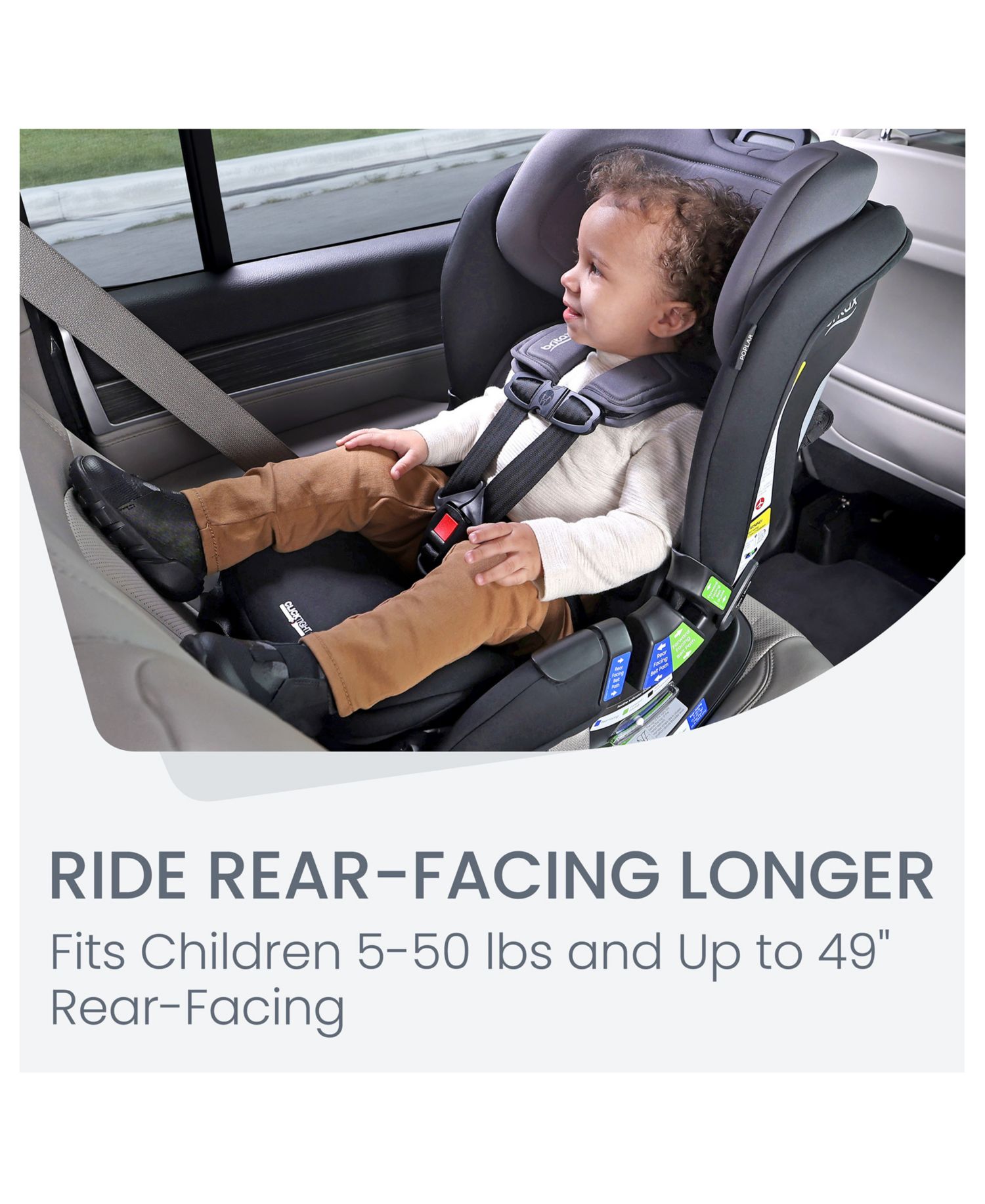 Poplar Convertible Car Seat