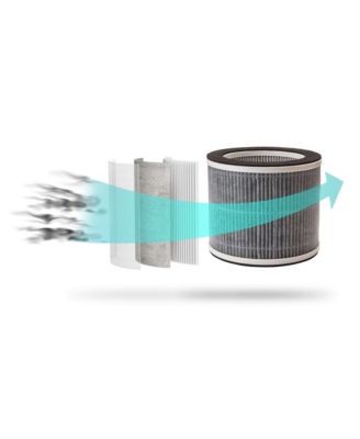 True HEPA Replacement Filter for iWAP260 Air Purifier