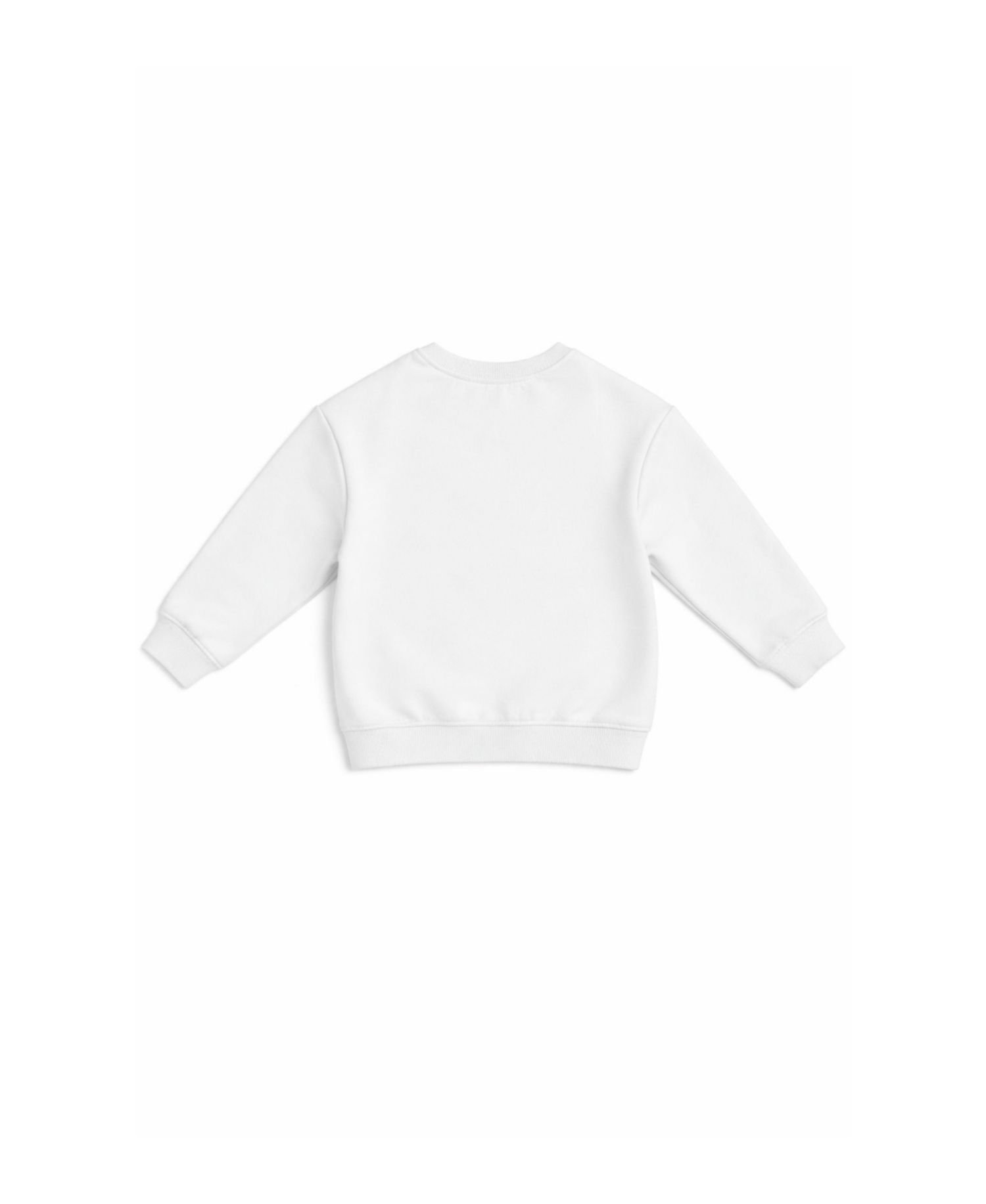 Little Boys Little/Big Brother Sweatshirt