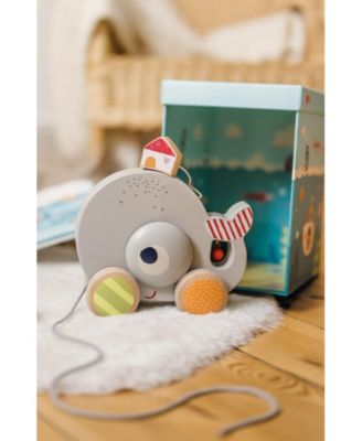 Wilma Whale Pull Along