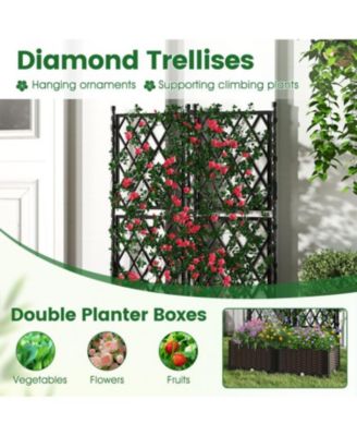 Raised Garden Bed with Lattice Trellis & Self-Watering