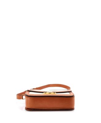 Medium Triomphe Shoulder Bag Canvas with Leather