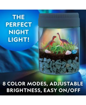 Light-Up Dinosaur Terrarium Kit