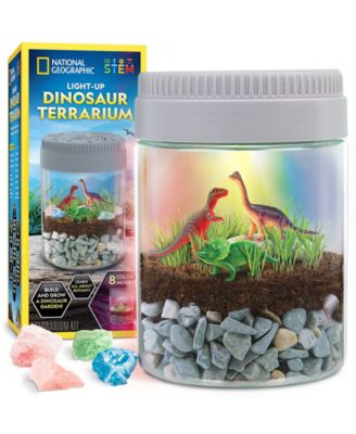 Light-Up Dinosaur Terrarium Kit