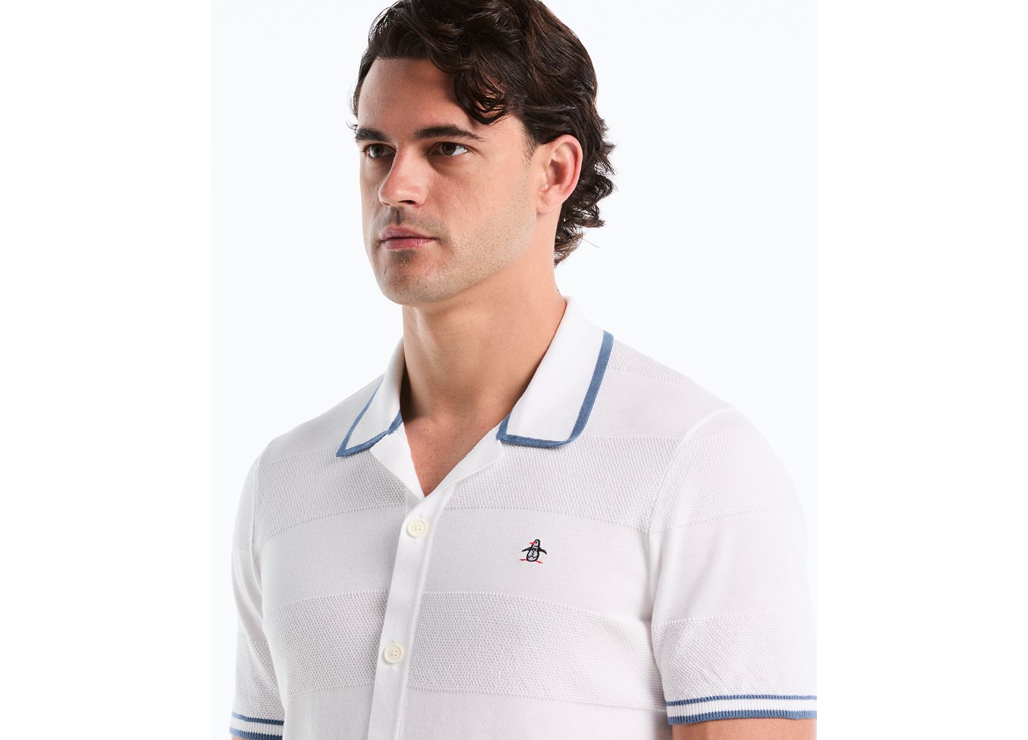 Men's Cotton Seed Stitch Polo Sweater