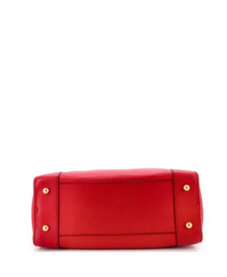 36 Amazona NM Bag Leather