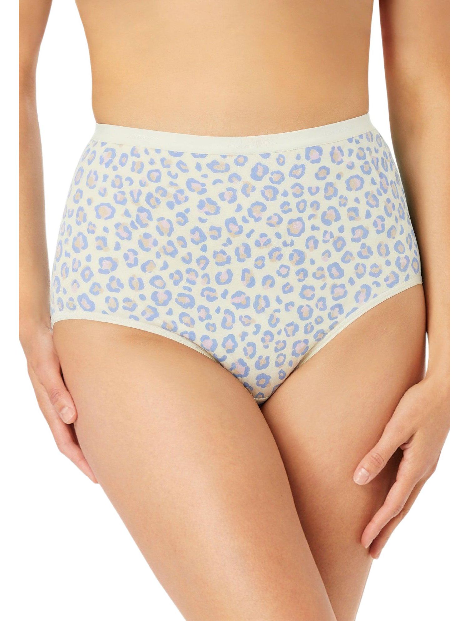 Women's Plus Size Modern Cotton Spandex Brief 3-Pack