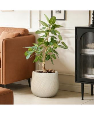 14" Dia Large Plant Pot with Drainage, Texutred Round Planter Pot for Indoor and Outdoor Plants