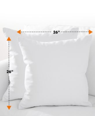 2-Pack Pillows, European