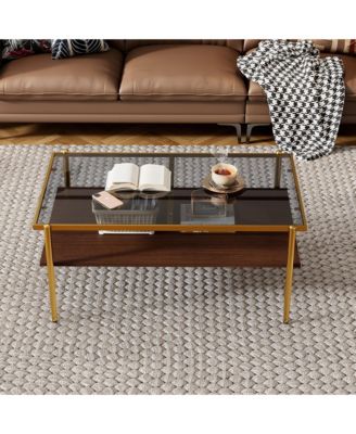 Rectangle 2 Tier Coffee Table, Center Table with Tempered Glass Top and Wood Storage Shelf for Living Room and Small Space