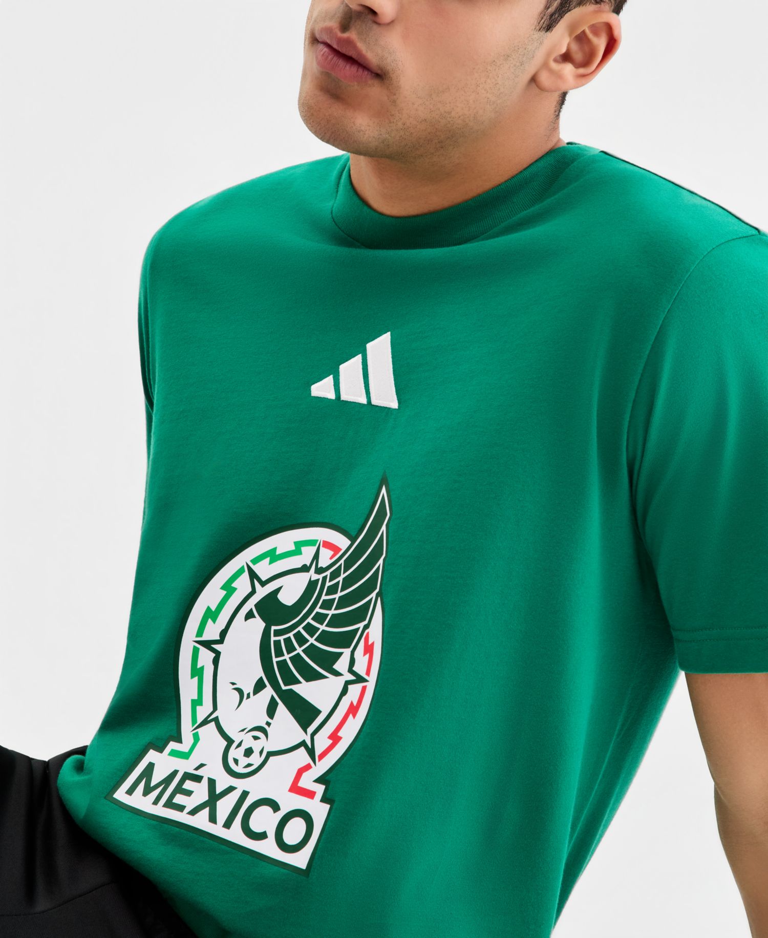 Men's Mexico DNA Graphic T-Shirt