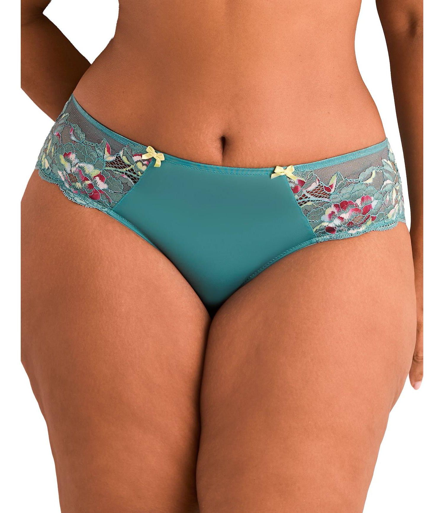 Plus Size Chelsi Hipster Panty