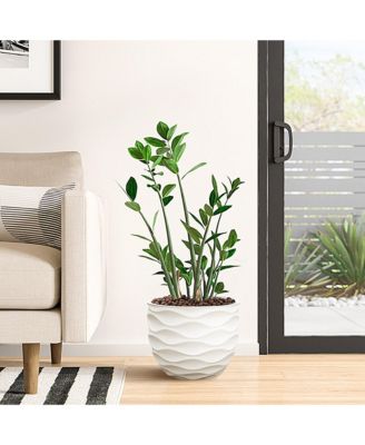 13.4-Inch Round Waves MgO Planter