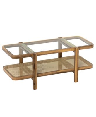 Glass Coffee Table 2 Tier with Storage Shelf