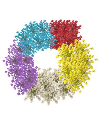 Dried Pressed Flowers Lace Set, 60 Pc. Craft Decor