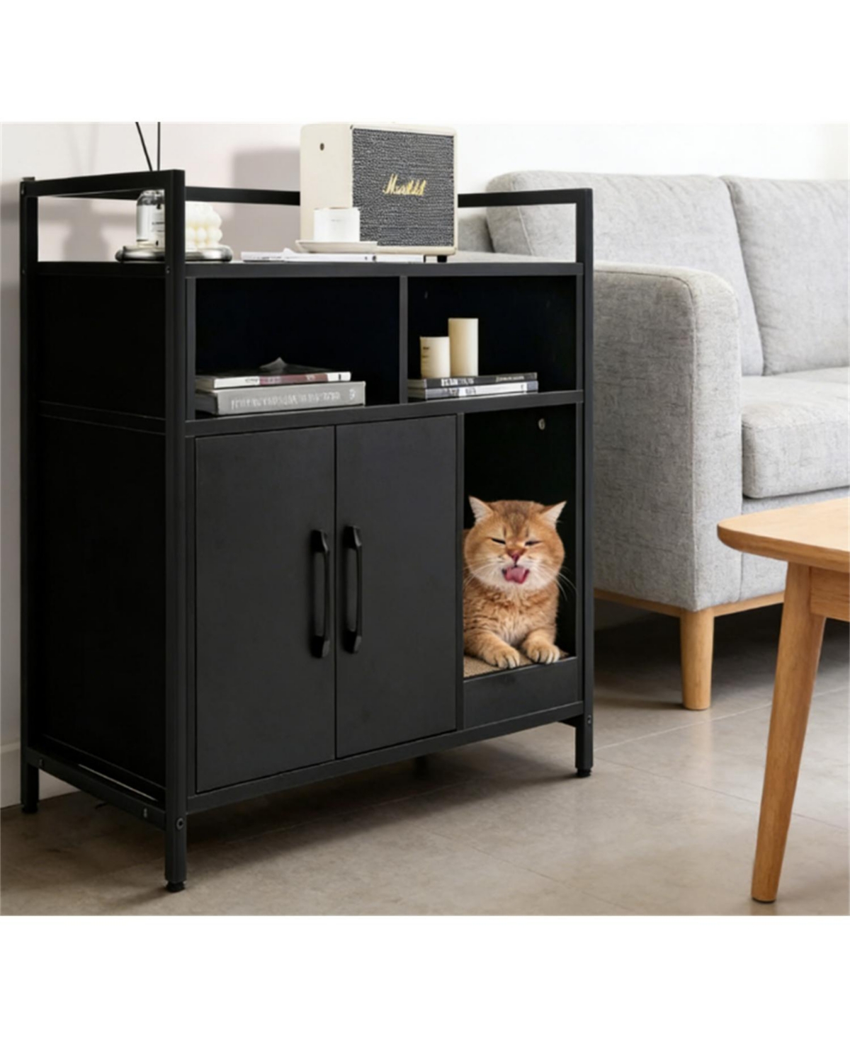 Zeus & Ruta Modern Cat Washroom with Double Doors and Scratch Board