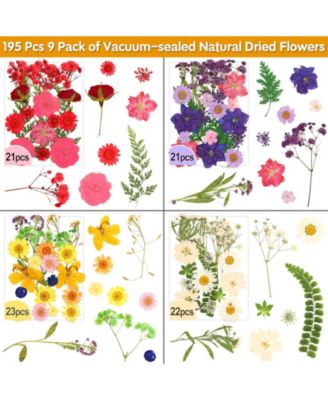 235 Pcs Pressed Dried Flowers Bulk Dry Molds Candles Diy Art Making Tweezers Butterfly Stickers Set