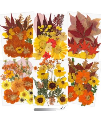 100+ Real Dried Pressed Flowers Leaves Florals Tweezer Candle Scrapbooking Thanksgiving Gift