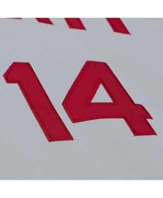 Men's Pete Rose Gray Cincinnati Reds 1976 Authentic Jersey