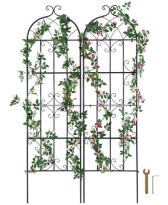 Metal Garden Trellis for Climbing Plants, 71 x 20 in 2-Pack Rustproof Powder-Coated Plant Support