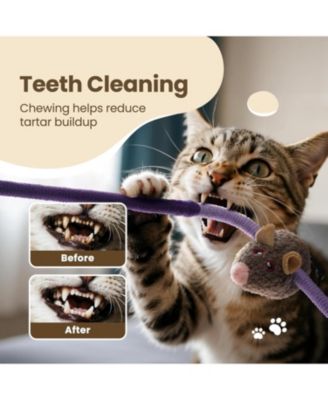 3 Pack Cat Chew Ropes with Cat Herb Filling Rats, Strong Braided Ropes and Gall Fruits, Natural Stimulation for Cats