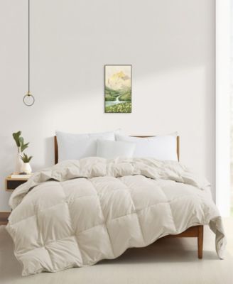 Lightweight Fluffy Goose Down Feather Duvet Insert, King