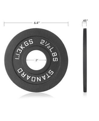 Set of 2 Standard Cast Iron Olympic 2-inch Weight Plates (2.5 LB each)