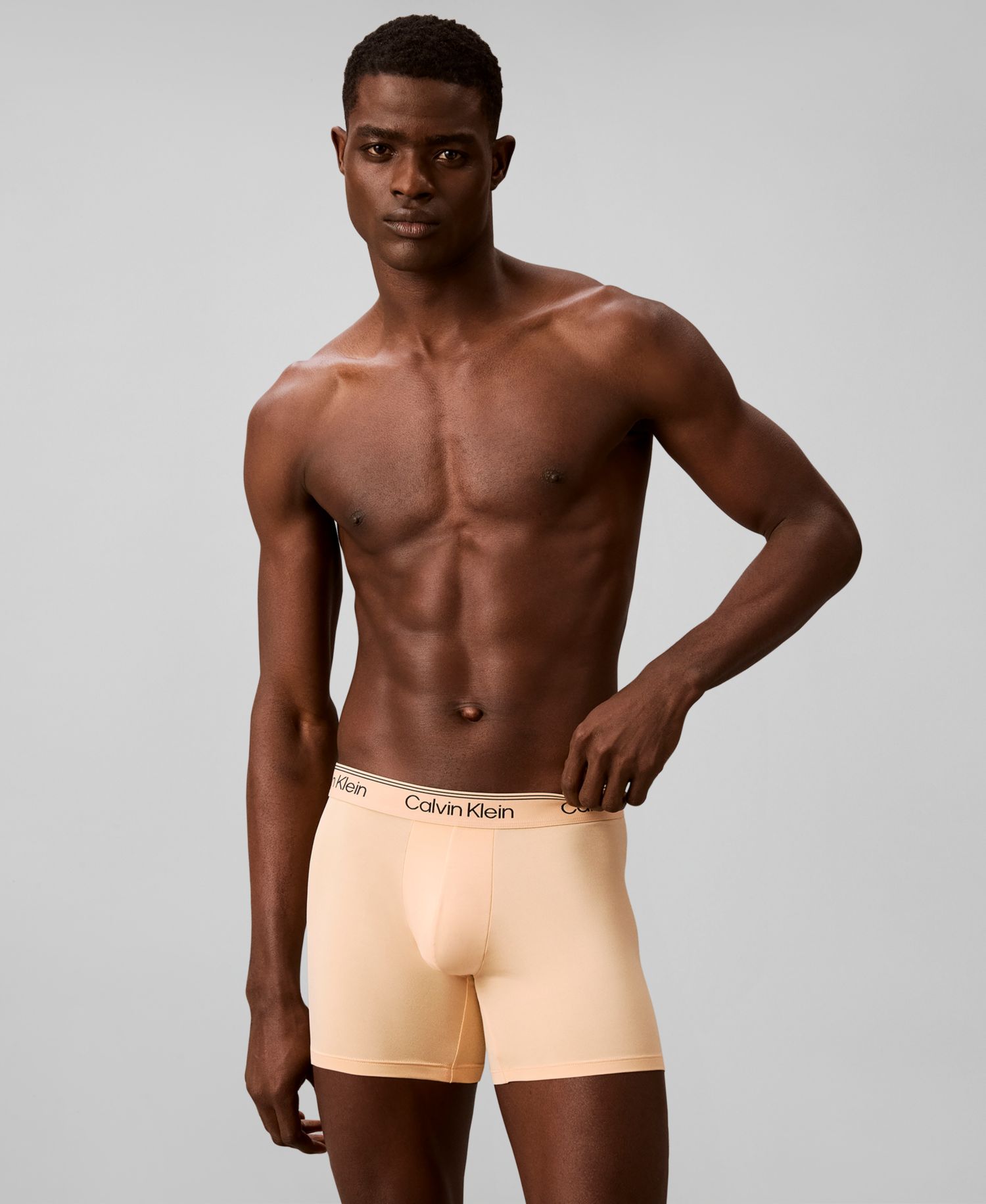 Men's Microfiber Stretch Boxer Briefs Underwear, 4-Pack