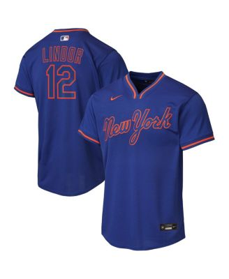 Big Boys and Girls Francisco Lindor Royal New York Mets Alternate Replica Jersey