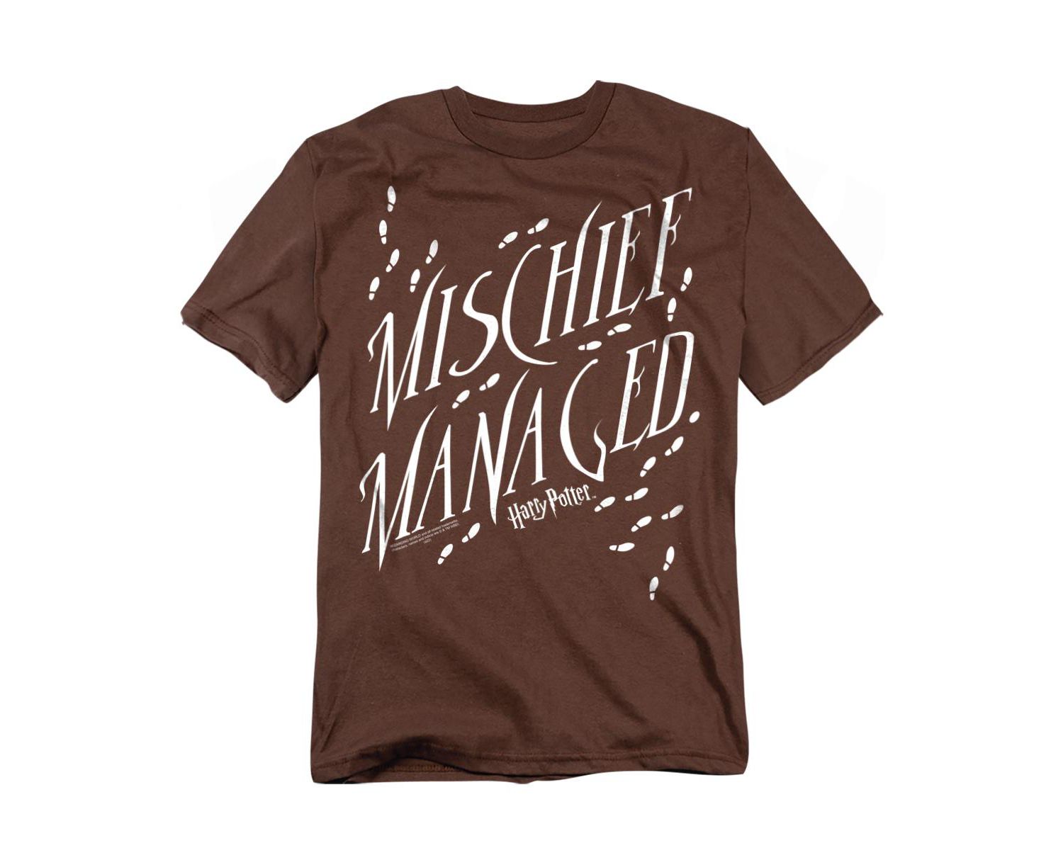 Men's Mischief Managed 4 T-Shirt