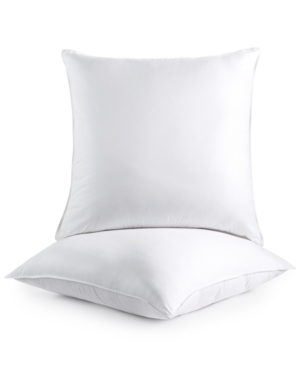 Dream Comfort by Martha Stewart Collection 2-Pack Euro Pillo