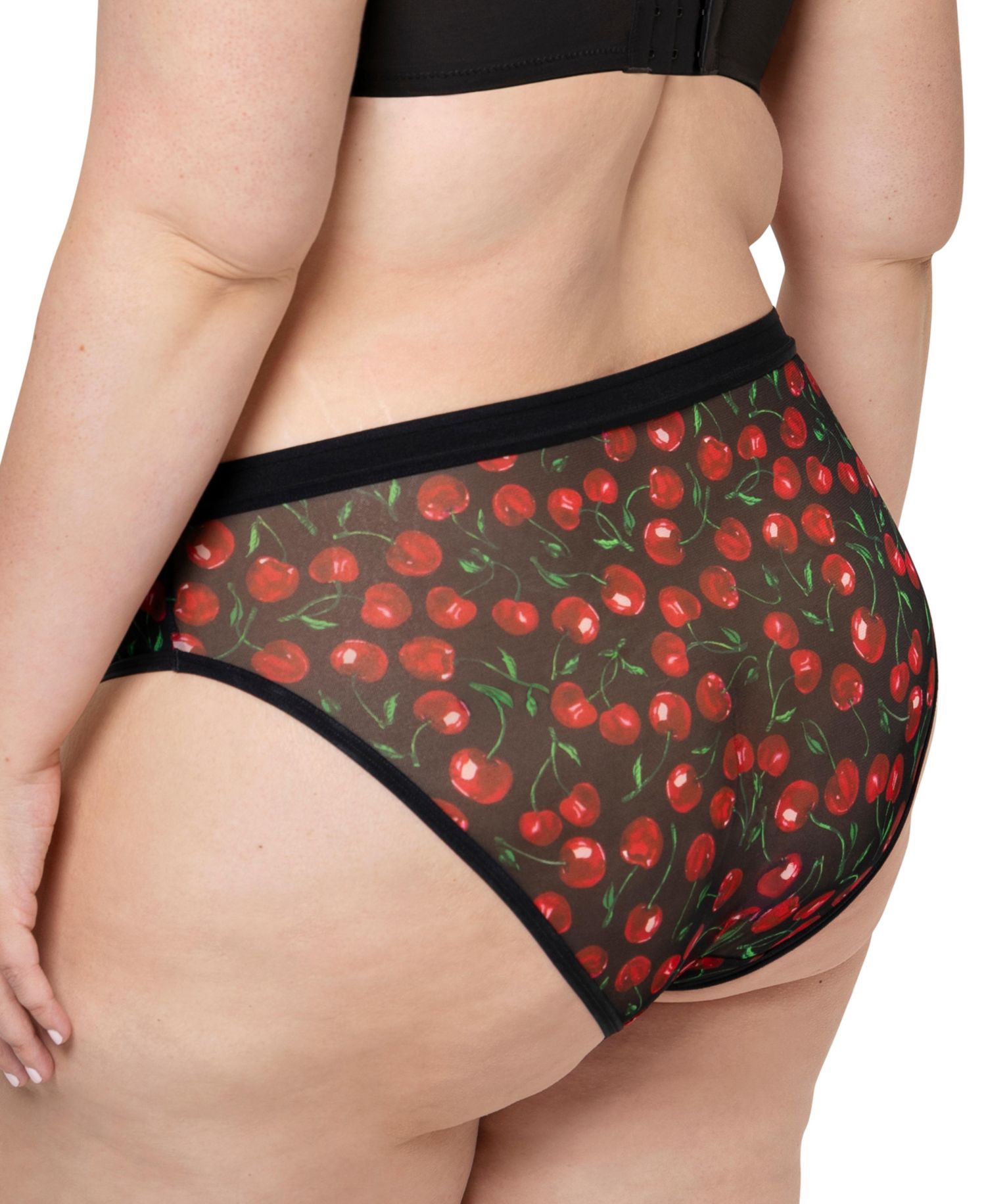 Women's Sheer Mesh High Cut Brief Panty