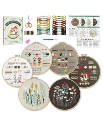 6 Stage Embroidery Kit Beginners 38 Stitches Instruction Video Stamped Patterns