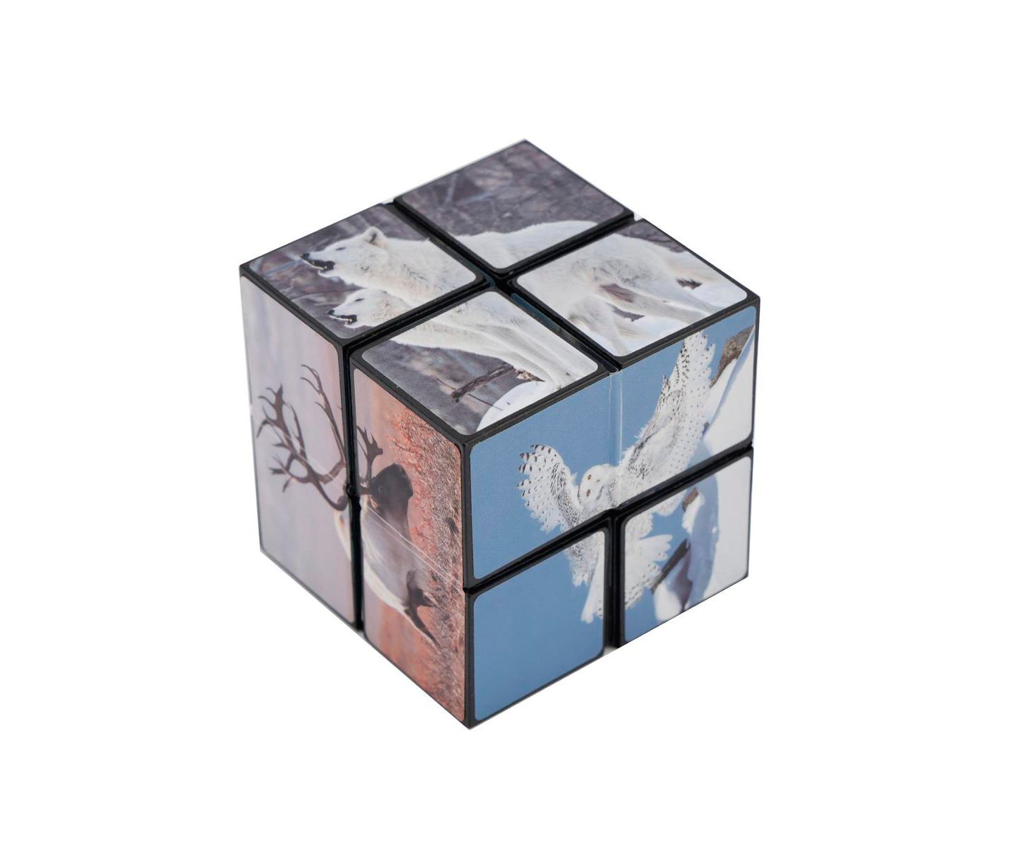 Детская игрушка Bruce & Shark 2-in-1 North and South Poles Fidget Cube - Folds into Star, Cube & Rectangle — фото 7