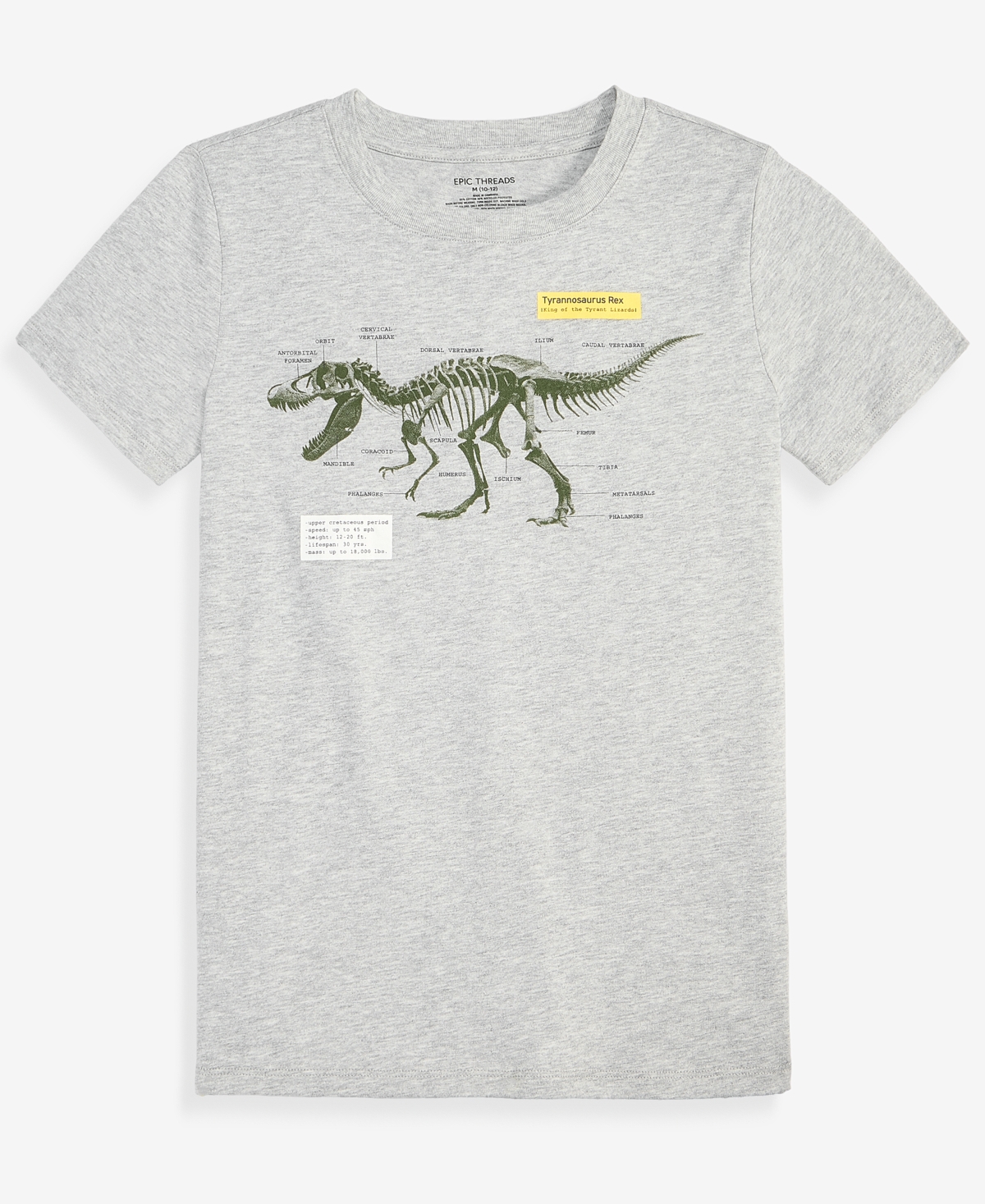 Epic Threads Boys' Xs-xl Dinosaur Graphic T-Shirt, Macy's Exclusive