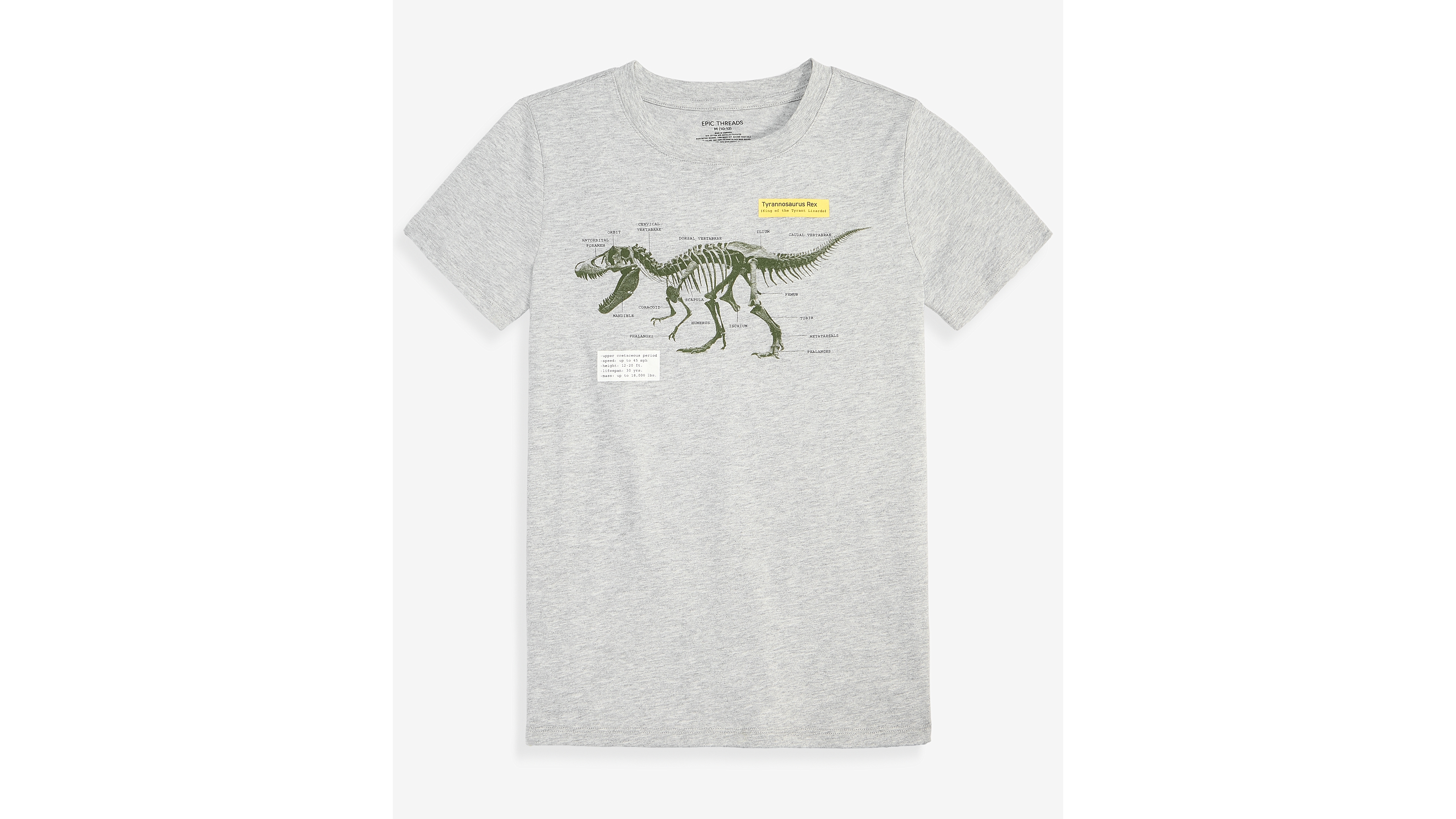 Epic Threads Boys' Xs-xl Dinosaur Graphic T-Shirt, Macy's Exclusive