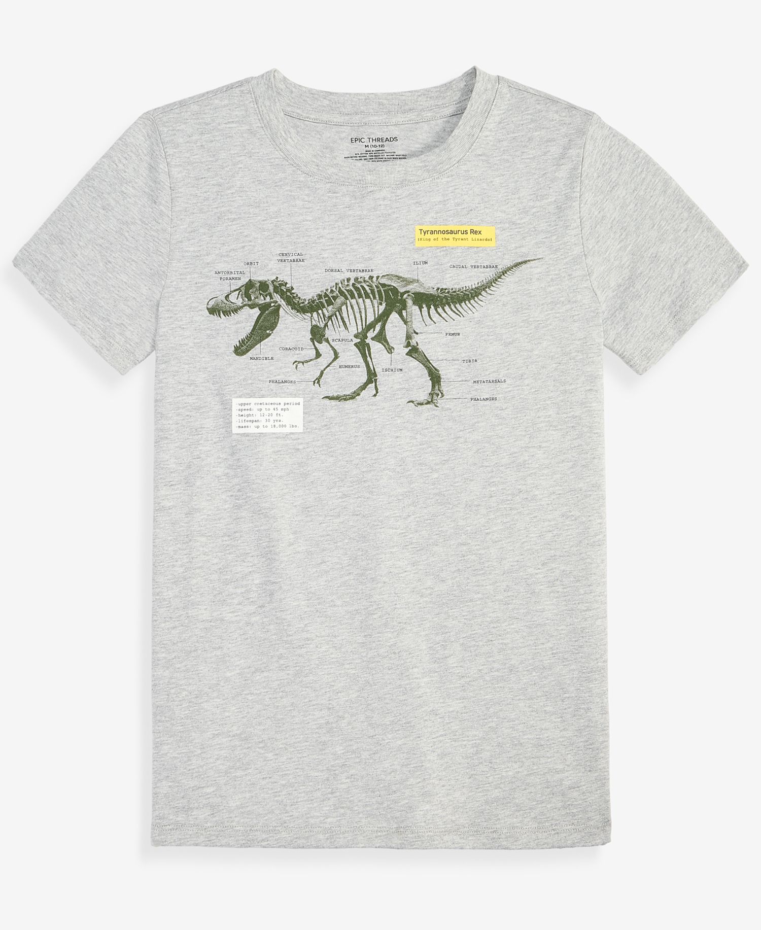 Boys' XS-XL Dinosaur Graphic T-Shirt