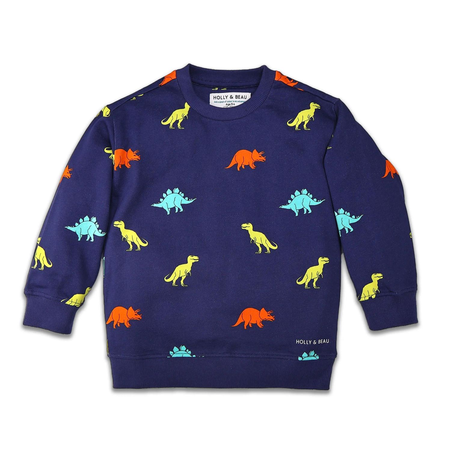 Little Boys Dinosaur Cotton Crew Neck Sweatshirt