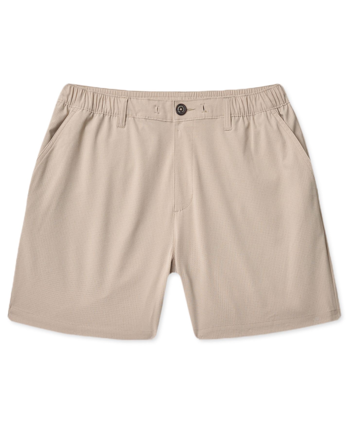 Мужские шорты Chubbies Regular-Fit, цвет: Medium Biege — фото 1