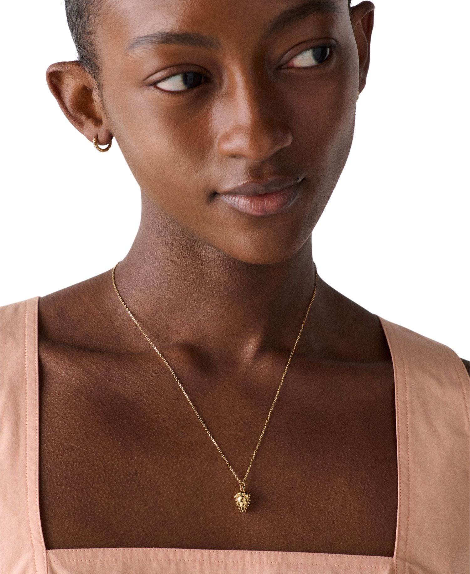 Gold-Tone Secret Garden Strawberry Short Pendant Necklace