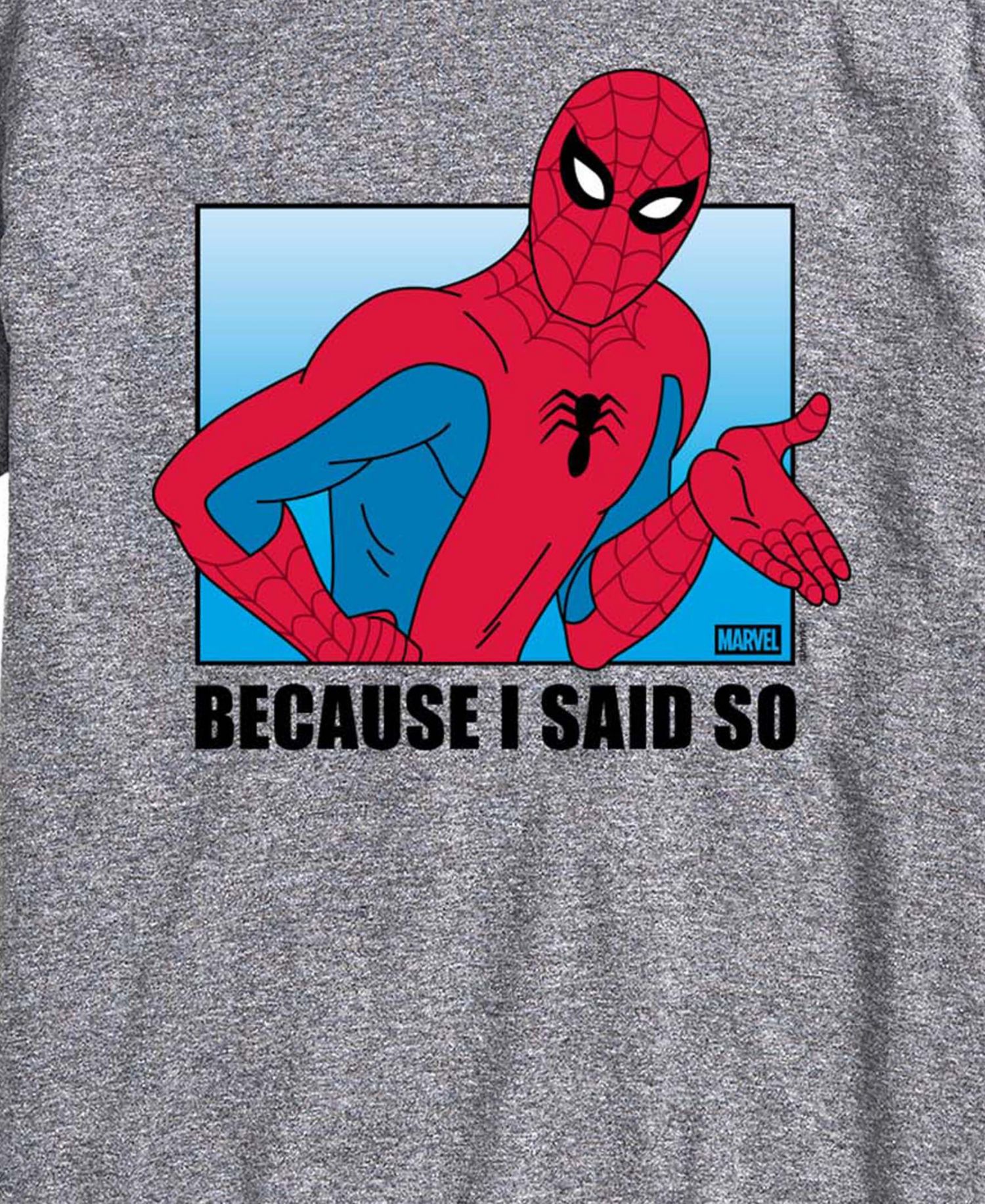 Men's Spider-Man Because Said So Short-Sleeve Graphic T-Shirt