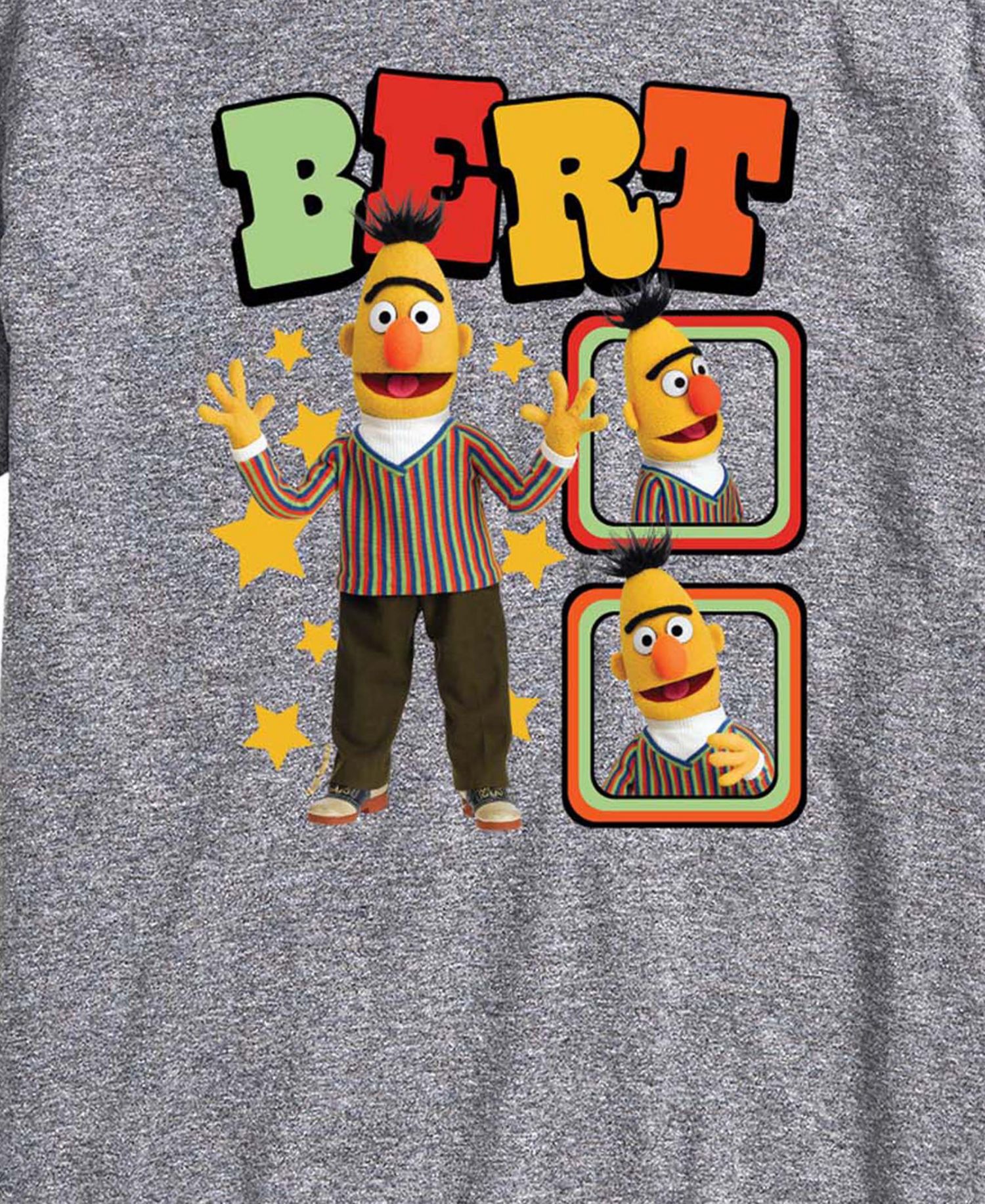 Men's Sesame Street Bert Photos Short-Sleeve Graphic T-Shirt