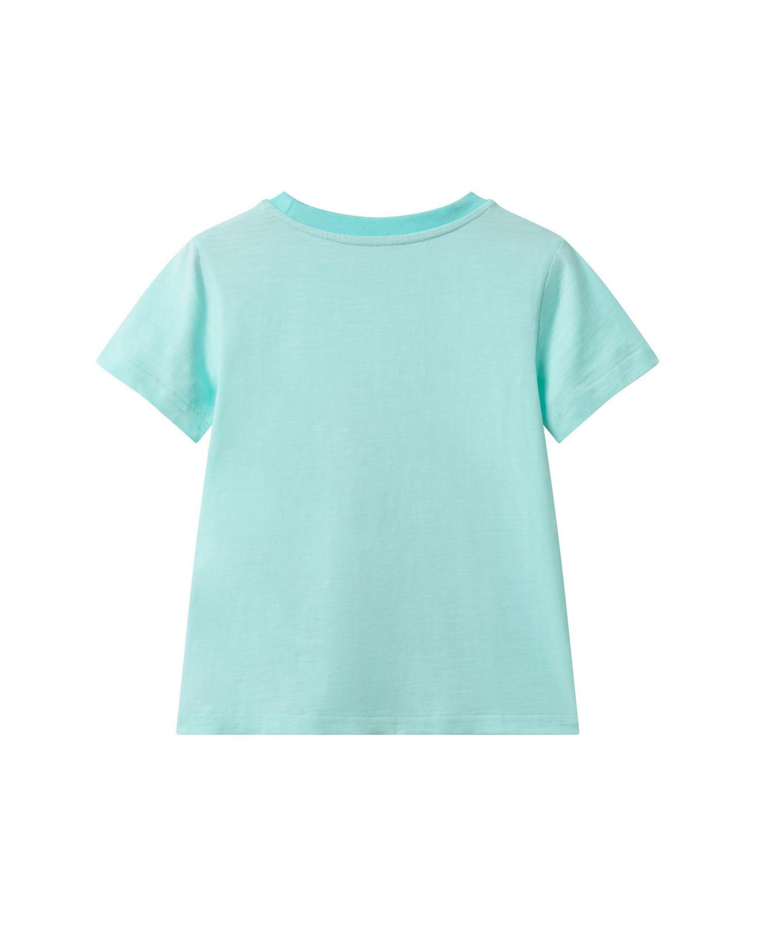 Toddler Boys Toddler/Child Aqua Easter Dinosaur Graphic Tee