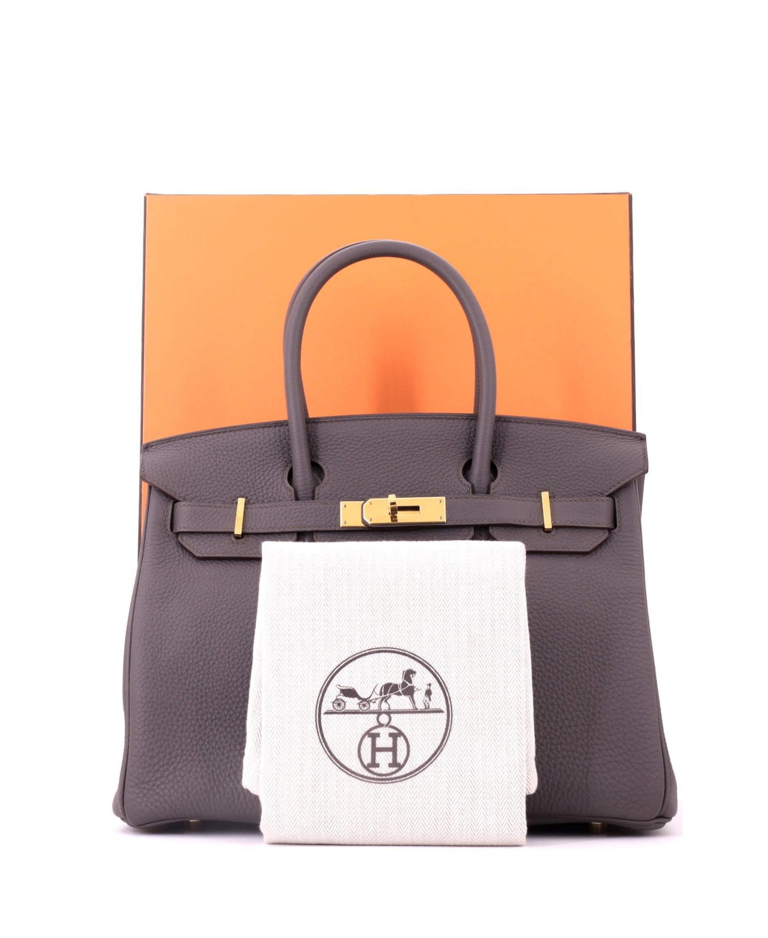 Birkin 30 Handbag Grey Togo with Gold Hardware