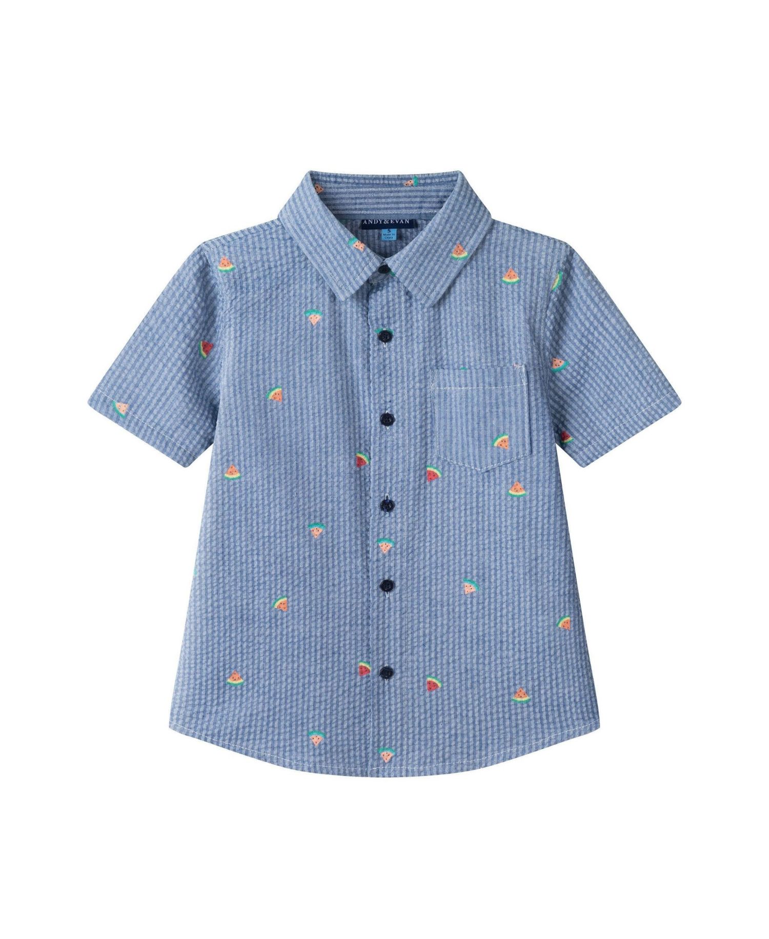 Big Boys Watermelon Seersucker Buttondown Shirt