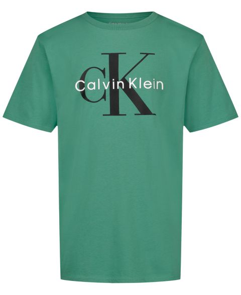 Футболка Calvin Klein Monologo Crewneck Short-Sleeve для мальчиков, цвет: Зелёный