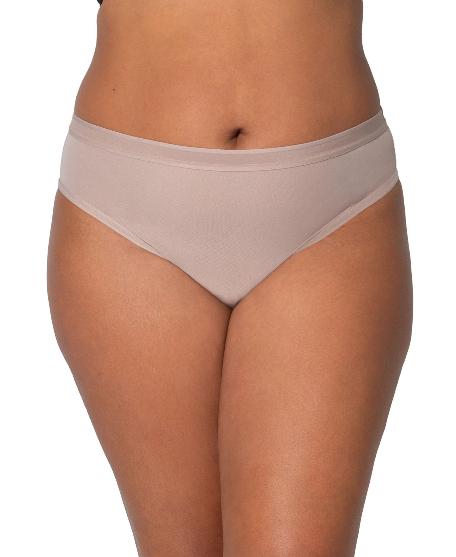 Women's Sheer Mesh High Cut Brief Panty