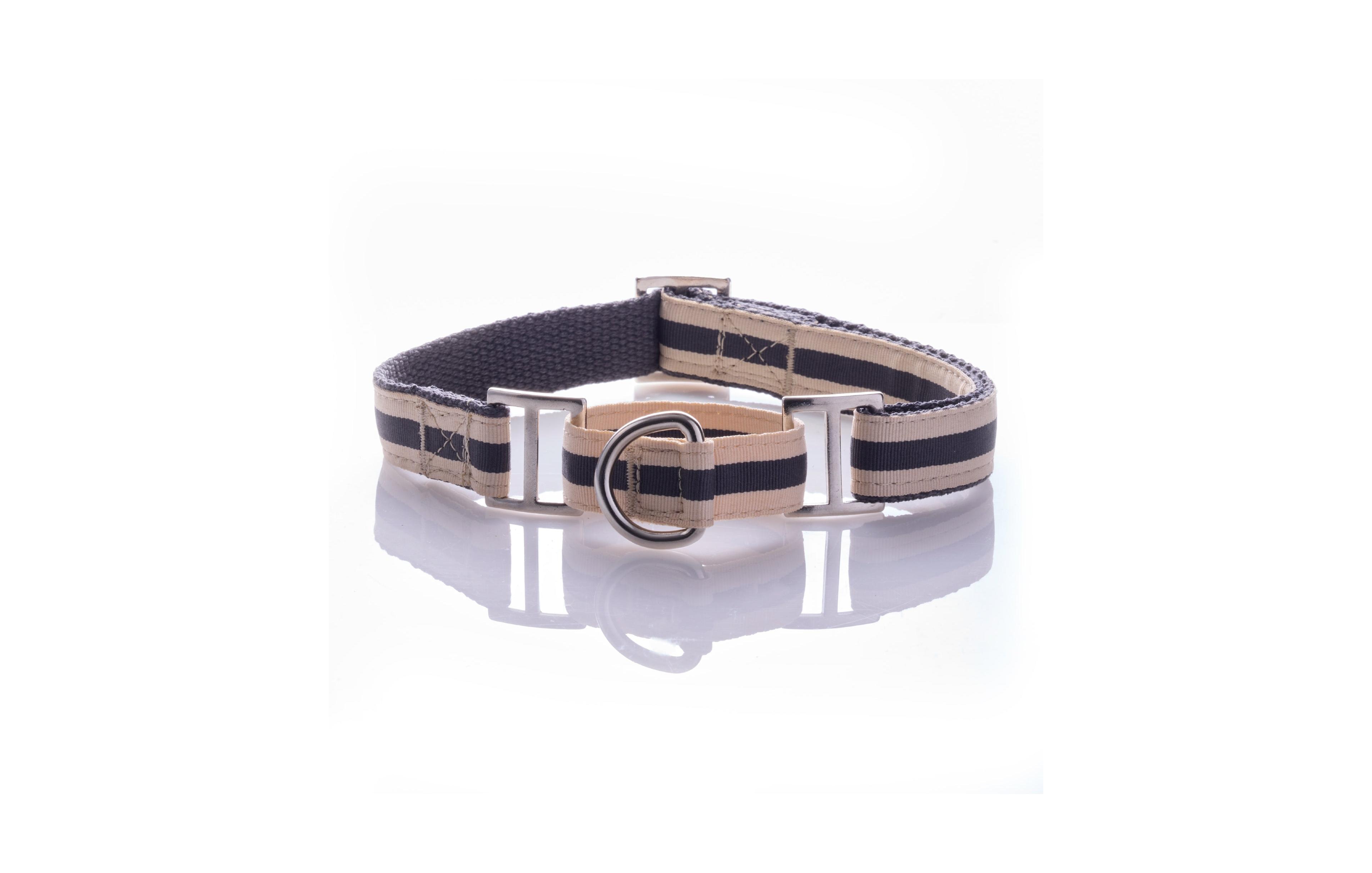 Pet Passion Remy Ii The Ribbon Martingale